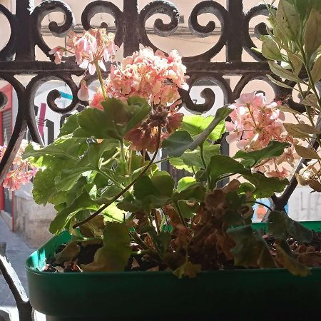 Apartamento Lavapies Al Lado Del Rastro Madrid Exteriér fotografie