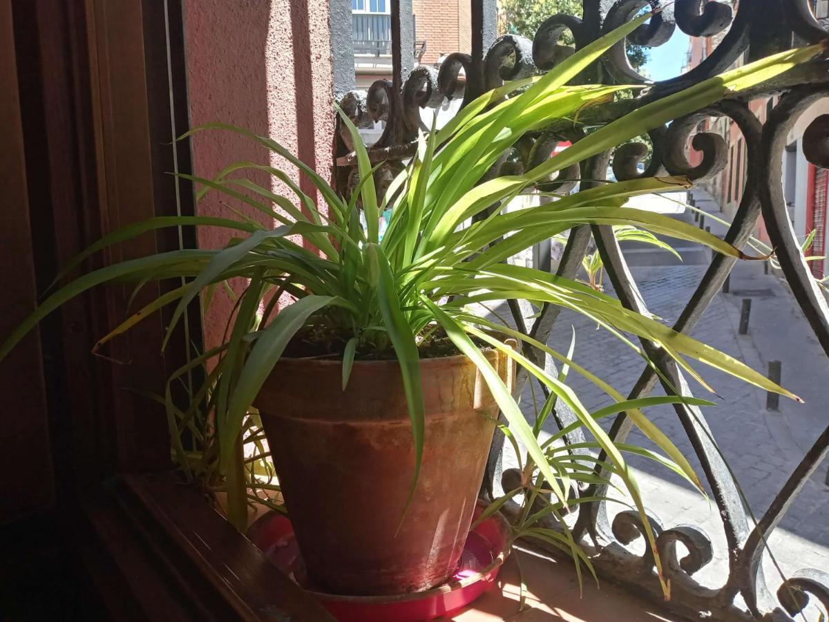 Apartamento Lavapies Al Lado Del Rastro Madrid Exteriér fotografie
